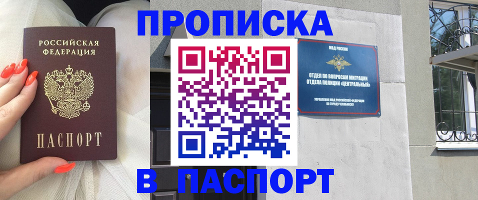 прописка поиск в Курчалом